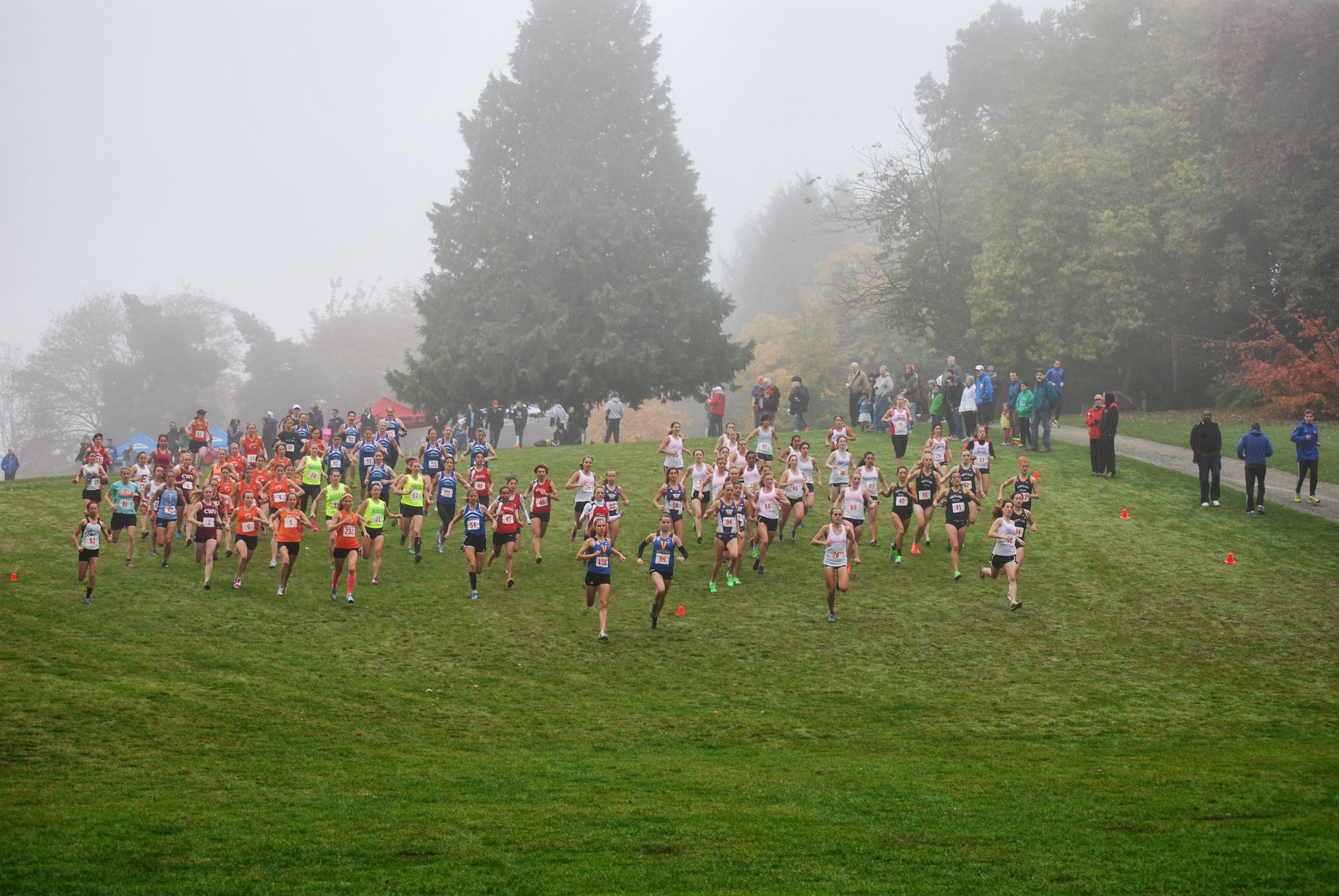 Emerald City Open 2013 Images